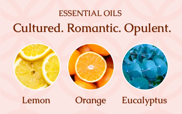 NOW Essential Oil Aromatherapy Premium, 30ml, Furniture & Home Living, Home  Fragrance on Carousell